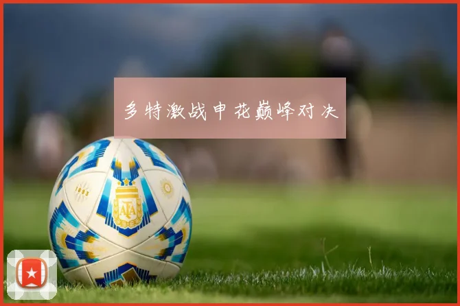 多特激战申花巅峰对决