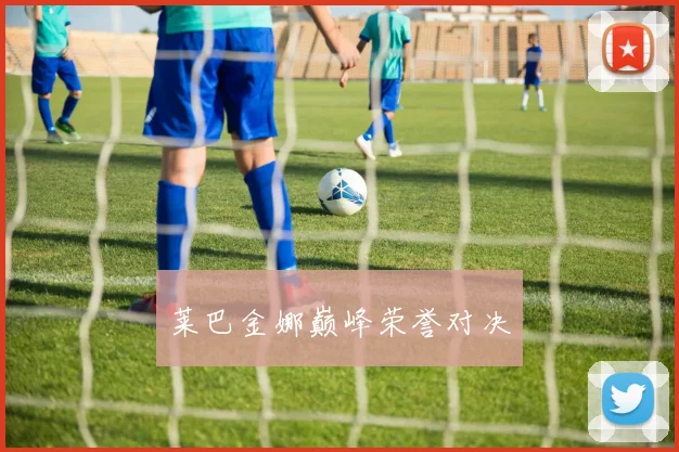 莱巴金娜巅峰荣誉对决