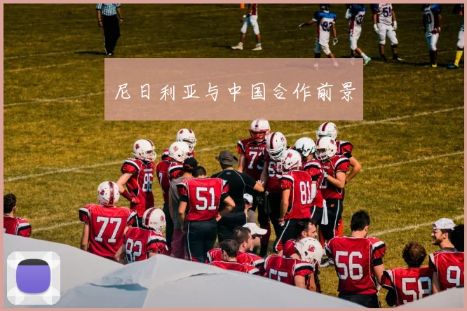尼日利亚与中国合作前景