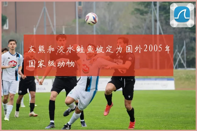 灰熊和淡水鲑鱼被定为国外2005年国家级动物