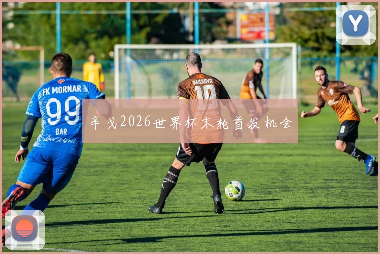 辛戈2026世界杯末轮首发机会