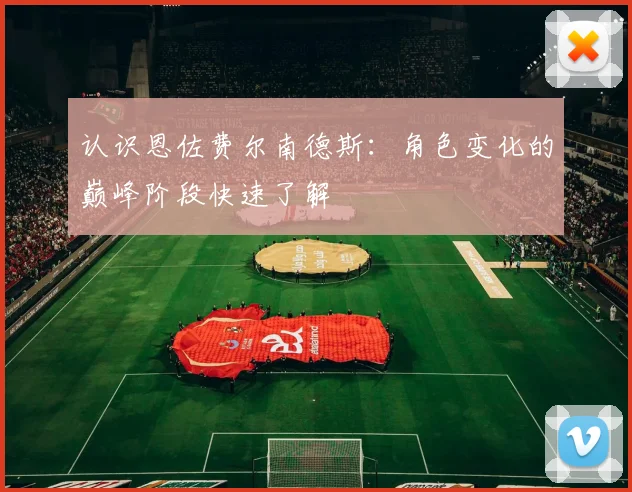 认识恩佐费尔南德斯：角色变化的巅峰阶段快速了解