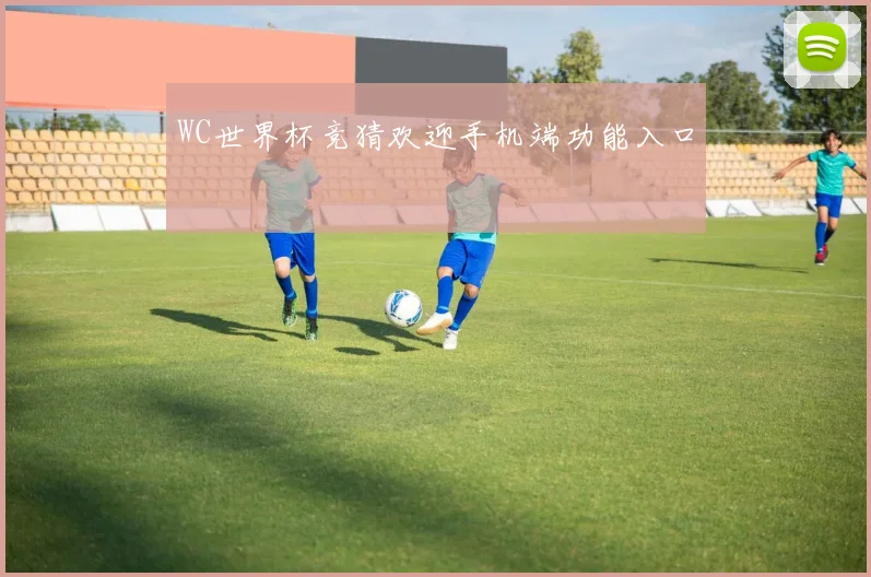 WC世界杯竞猜欢迎手机端功能入口