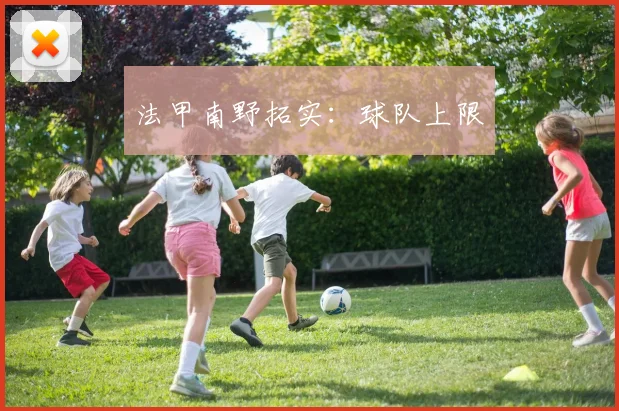 法甲南野拓实:球队上限